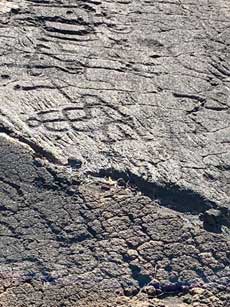 Hawaii Big Island, Kaloko-Honokohua National Historic Park petroglyph path
