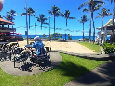 Hawaii bayfront lunch