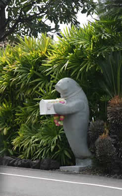 Hawaii manatee mailbox