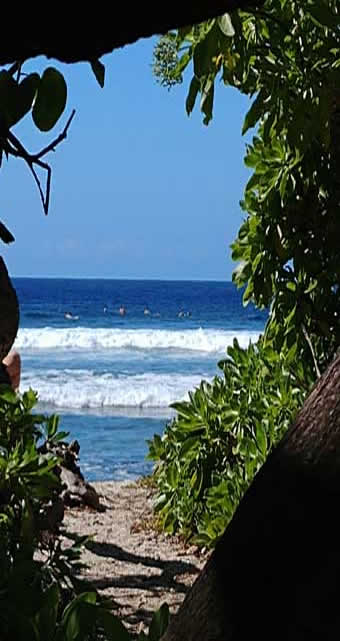 Hawaiian surfing beach