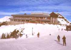 Pine Martin Lodge