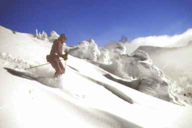 Grand Targhee Powder