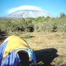 kilimanjaro.jpg (4625 bytes)