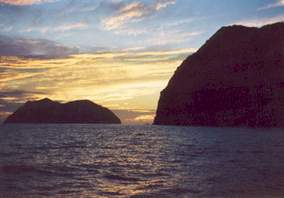 Isla Guadalupe