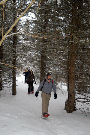 Snowshoeing in the woods