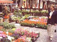 Brussels Flower Market