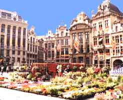 Grand-Place flowers