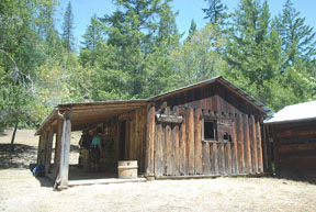 Whiskey Creek Cabin