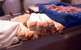 Pigs feet at Liberty Market