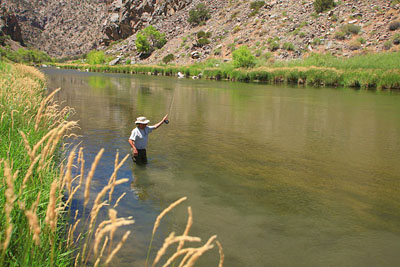Author Fly-fishing on the Gunnison River