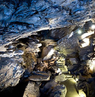 Oregon Caves room