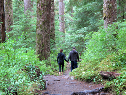 hike through the drizzling rain forest to Sol Duc Falls