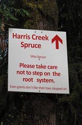 Harris spruce sign