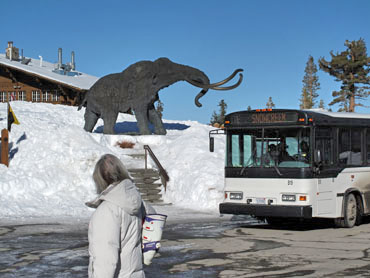 Mammoth's mammoth and shuttlebus
