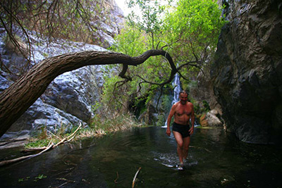 Darwin Hot Springs
