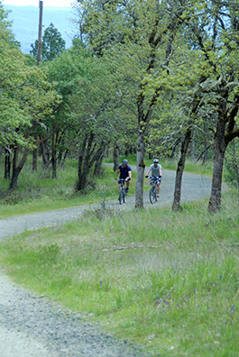 Bikers follow the trail