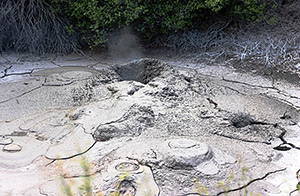 Whakaari crater bubbling mud