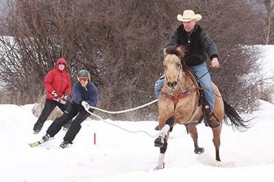 Skijoring horse pulling two skiers