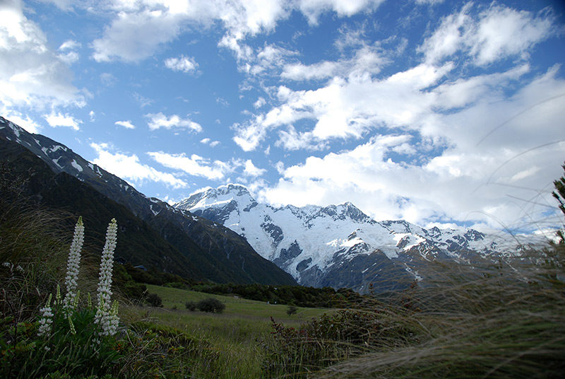 New Zealand Alps