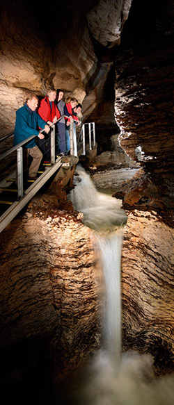 New Zealand Te Ana-au Caves