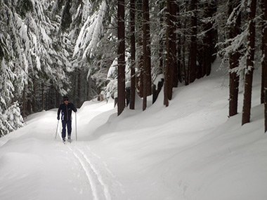 Rossland BC x-ski trail