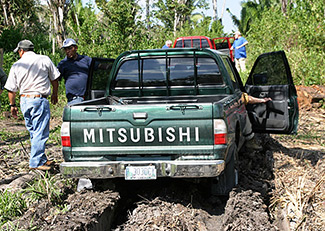 Guatemala Naranjo Jungle