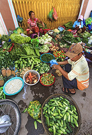 Cambodian produce
