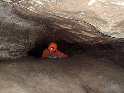 California Cavern creepy crawling