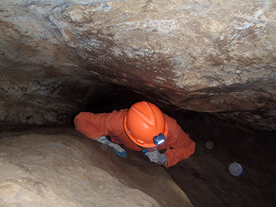 Squirming in California Cavern