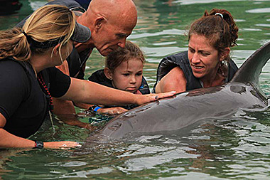 Hawaii Big Island dolphin tank