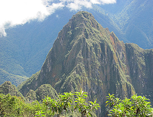 Machu Picchu Monta