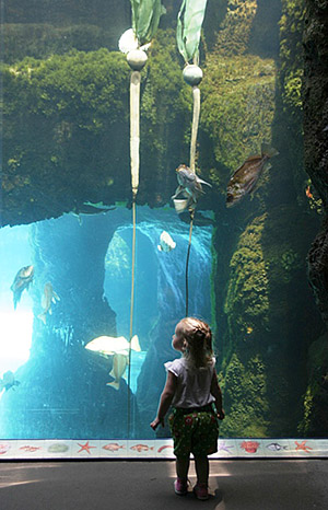 Oregon Zoo Pacific Shores exhibit