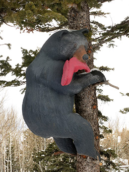 Park City carved bear in tree