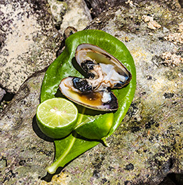 Kosroi clam ready to eat