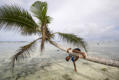 Boy playing on palm tree on Kosrae