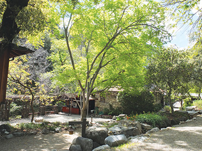 Tassajara Zen Mountain Center