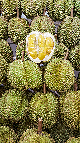 Stink durian fruit