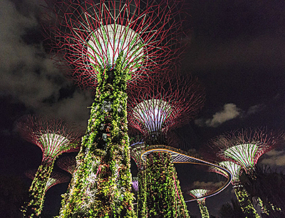 Supertrees at night, Singapore