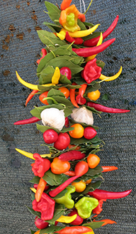 Dubrovnik peppers