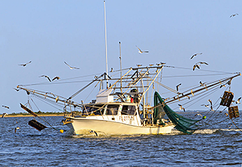 Gulf shrimp boat