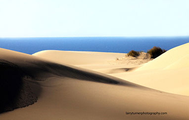 Oregon dunes