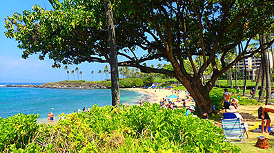 Maui Napili Kai beach