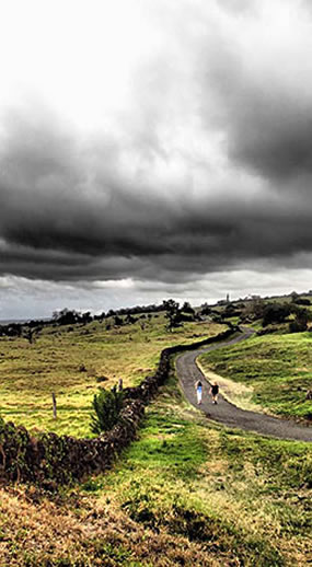 Maui upcountry hike