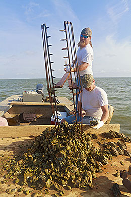 Florida Panhandle oyster fishermen