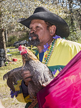 Mardi Gras prize rooster