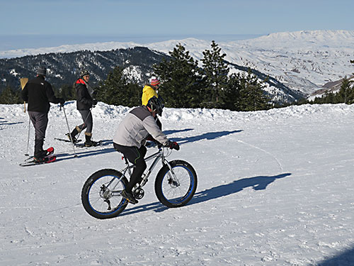 Bogus Basin fat tire biker