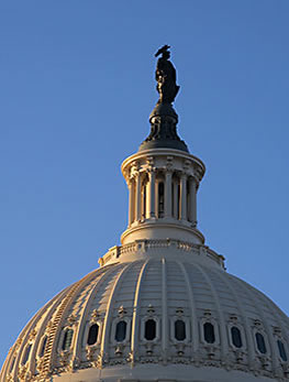 "Freedom" perched atop the Capitol dome