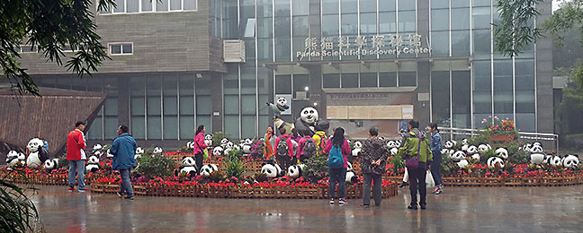 Panda tourists