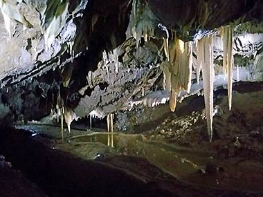 Czech Republic Punkva Cave stalagtites