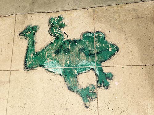 Calaveras jumping frog tiles